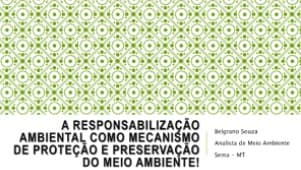 A Resposabilização Ambiental como Mecanismo de Proteção e Preservação do Meio Ambiente