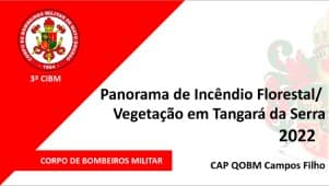 Panoragma de Incêncdio Florestal